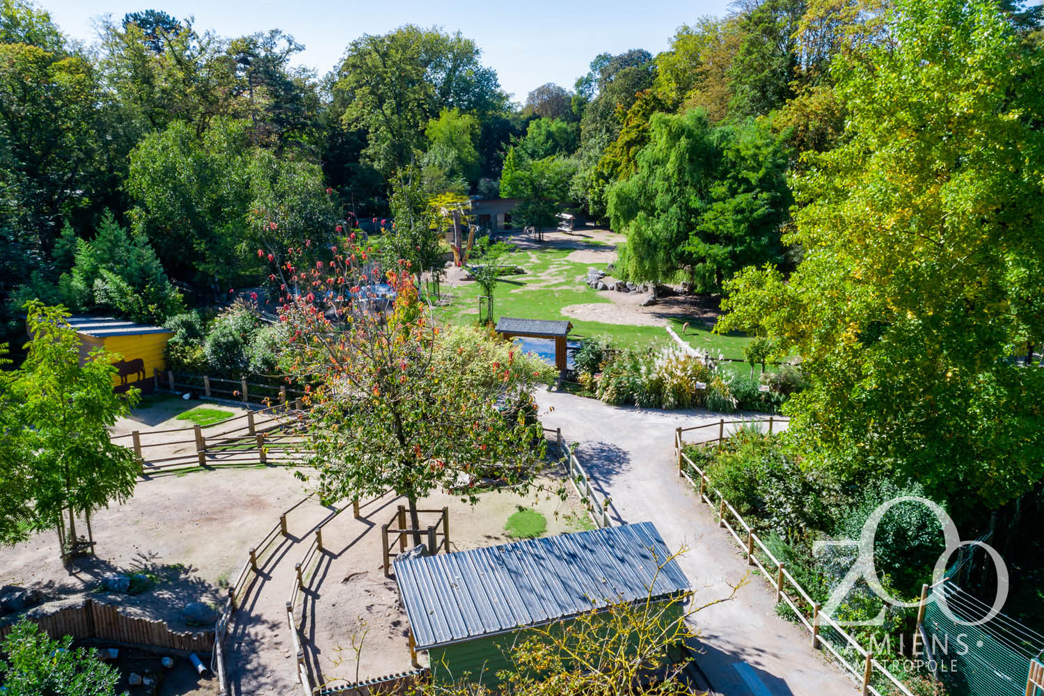 zoo d'Amiens