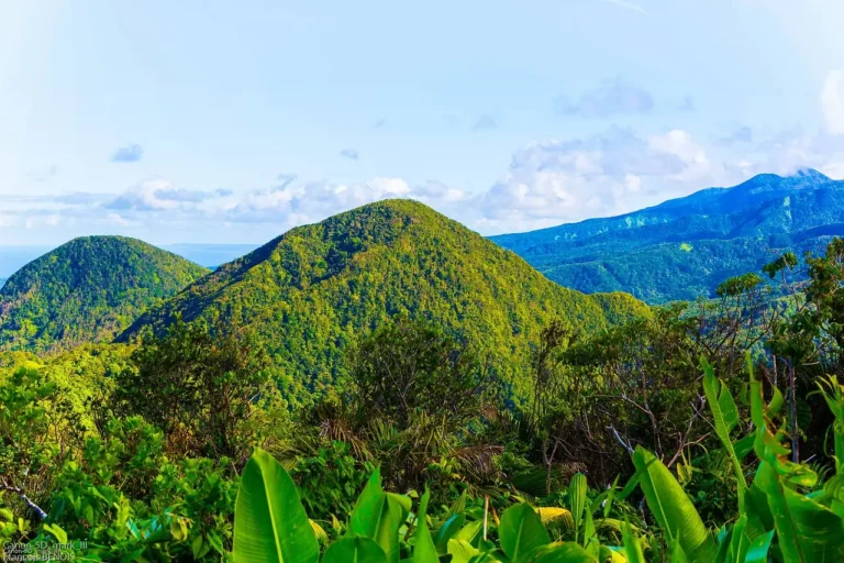 Pointe-à-Pitre, Guadeloupe